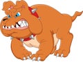Angry bulldog cartoon isolated on white background Royalty Free Stock Photo