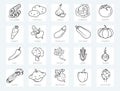 Vegetables - thin line web icons set. Outline icon collection. Simple vector icons such as cucumber, potato, celery, broccoli, rad Royalty Free Stock Photo