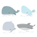 Cute whales. Marine life animals, underwater blue whales. Royalty Free Stock Photo