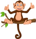 Cartoon monkey on the tree and thumbs up