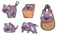 bundle of stickers cats Royalty Free Stock Photo