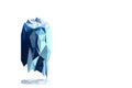 Iceberg polygon icon vector