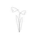 Spring flowers silhouette line drawing, vector illustration Royalty Free Stock Photo