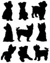 Yorkshire Terrier Dog Silhouette Pack