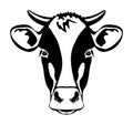 Cow with horns Cow face Black and White Cow head Silhouette Royalty Free Stock Photo