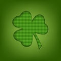 Green leaf clover shamrock buffalo. Vector