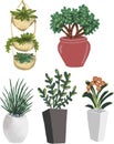 Indoor plants in vector illustration hand drawn hyuge coziness home comfort