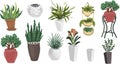 Indoor plants in pots vector illustration hand drawn hyuge coziness home comfort