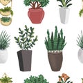 Indoor plants in vector illustration hand drawn hyuge coziness home comfort