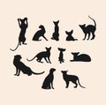 A set of silhouettes of black cats of oriental breed in different poses Royalty Free Stock Photo