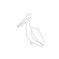 Pelicans bird silhouette, vector illustration