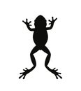 Frog silhouette. Abstract frog on white background Royalty Free Stock Photo
