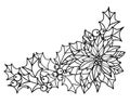 Holly and Poinsettia, Christmas plants - vector linear picture for coloring. Outline. Poinsettia flower, holly leaves and berries Royalty Free Stock Photo