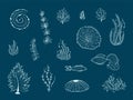 Silhouettes of sea life outline isolated on dark blue background. Vector Hand drawn illustrations of engraved line.