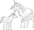 Realistic unicorns creatures sketch template. Cartoon horse and baby graphic vector illustration in black and white