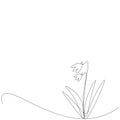 Snowdrop flowers silhouette line drawing, vector illustration Royalty Free Stock Photo