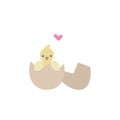Vector flat illustration with little hatched chick and little heart Royalty Free Stock Photo