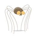 Funny cartoon illustration of a long-legged spider