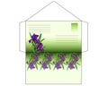 Envelope with Irises, do-it-yourself sweep - vector full-color template for cut and glue envelope decorated with flowers and leave