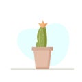 cactus with orange flower in brown pot Royalty Free Stock Photo