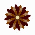 Flower brown color