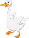 Cute swan cartoon on white background Royalty Free Stock Photo