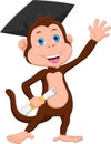 Cartoon graduate monkey on white background