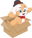 Cute baby dog Ã¢â¬â¹Ã¢â¬â¹playing with cardboard box Royalty Free Stock Photo