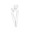 Flowers silhouette line drawing, vector illustration Royalty Free Stock Photo