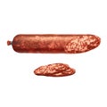 Sliced salami realistic