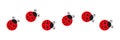 Ladybugs line icon group. Cute ladybirds set.