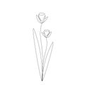 Flowers silhouette line drawing, vector illustration Royalty Free Stock Photo