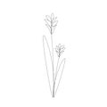 Flowers silhouette line drawing, vector illustration Royalty Free Stock Photo