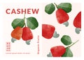 Cashew fruit packaging design templates, watercolour style vector illustration.