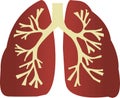 Human organ. Lungs for icon or a logo Royalty Free Stock Photo