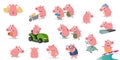 Funny collection of a cartoon pig Royalty Free Stock Photo