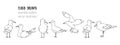 Hand drawn summer seaside horizontal seamless pattern. Sketch gull, seabird, flying seagull, anchor. Marine print in cartoon style Royalty Free Stock Photo