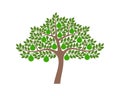 Bergamot tree logo. Isolated bergamot tree on white background