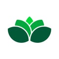 Plant lotus symbol