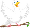 Cartoon cute dove bird on white background