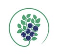 Blueberry bush logo. Isolated blueberry on white background