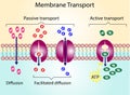 Active vs passive transport for Molecules movement in cell.