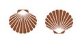 Scallop logo. Isolated scallop on white background