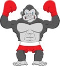 Cute gorilla boxing cartoon on white background