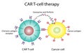 CAR T-cell therapy and Cancer treatment