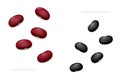 Small red Mexican and black turtle beans isolated on white background. Top view