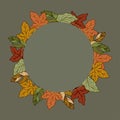 Vintage leaf frame. floral border. beautiful autumn background. hand drawn vector. wreath shape with green, red, brown and orange Royalty Free Stock Photo