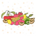 Set of fresh fruit icon. hand drawn vector. cherry, red apple, lemon, mango, kiwi, strawberry and orange fruits illustration on wh