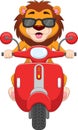 Cute lion riding scooter cartoon