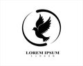 Bird vector icon illustration design logo template Royalty Free Stock Photo